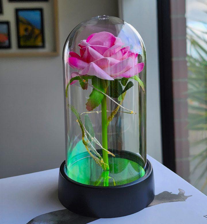 Realistic Rose Dome